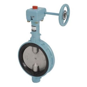 (F)20L2-N-UE ���󍕉����S�E�F�n�[�`�S���V�[�g�o�^�t���C�o���u �M���� ���h�F��i