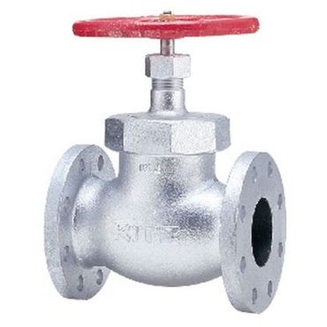 10SDBF �O���[�u�o���u(10K) �_�N�^�C���S