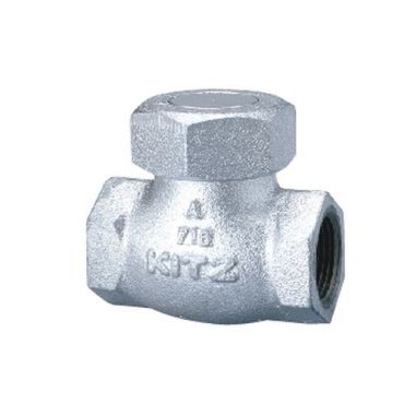 10SN FCD���t�g�`���b�L��