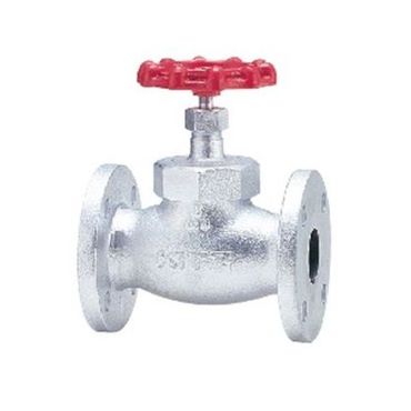 10SPDBF �O���[�u�o���u(10K) �_�N�^�C���S