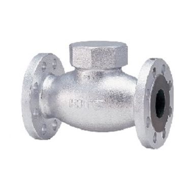 20SNDB FCD FCD���t�g�`���b�L�فy�t�����W��e�t�����W�X�N����K�X�p�z