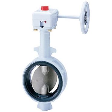 G-10DJUE �o�^�t���C�o���u (�M�A������h�F��i�10K)FCD