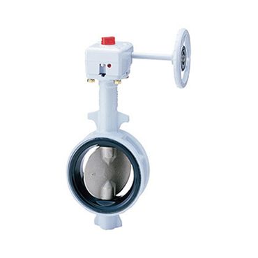 G-20DJUE �o�^�t���C�o���u (�M�A���20K)FCD