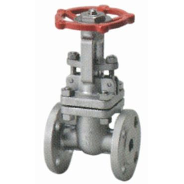 S10GOH 10K �X�e�����X �t�����W�`�O�˂��Q�[�g�o���u