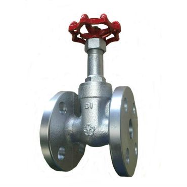 D10GB 10K �_�N�^�C�� �t�����W�^���˂��Q�[�g�o���u