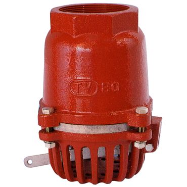 No.35 ���S���l�W�R�~�^�ЊJ�����o�[�t�t�[�g�o���u(�v���X�e�����X��)