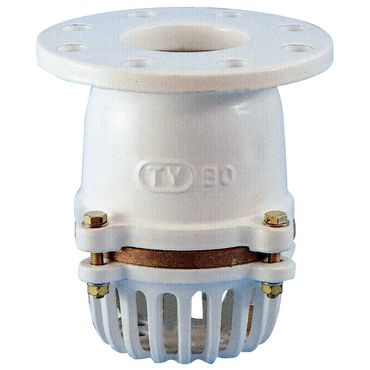 No.441 (10K)FC/CAC�t�����W�^�ЊJ���t�[�g�o���u(���S���C�j���O��)