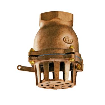 ��932 �����P�q�����o�[�Ȃ��t�[�g�o���u