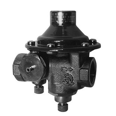 RD25SRN-F �����p������