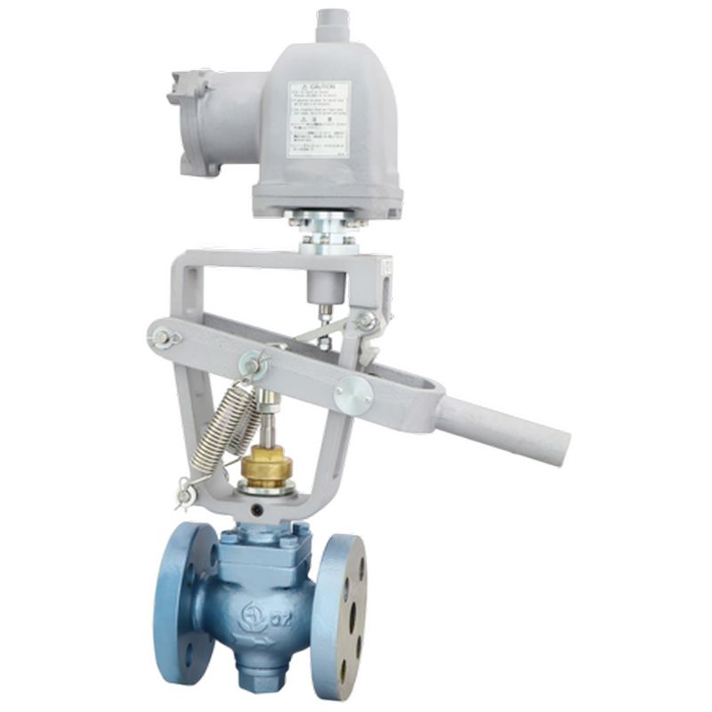 EIEFS-BB �ψ��h���`�d���ً}�Ւf��(���C�p)