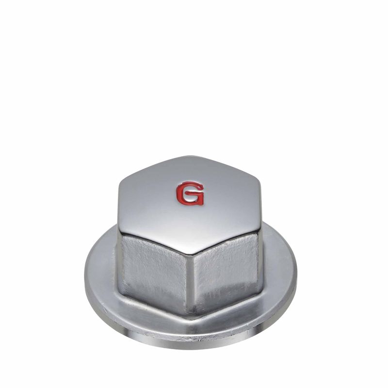 G�L���b�v �c�o�t��