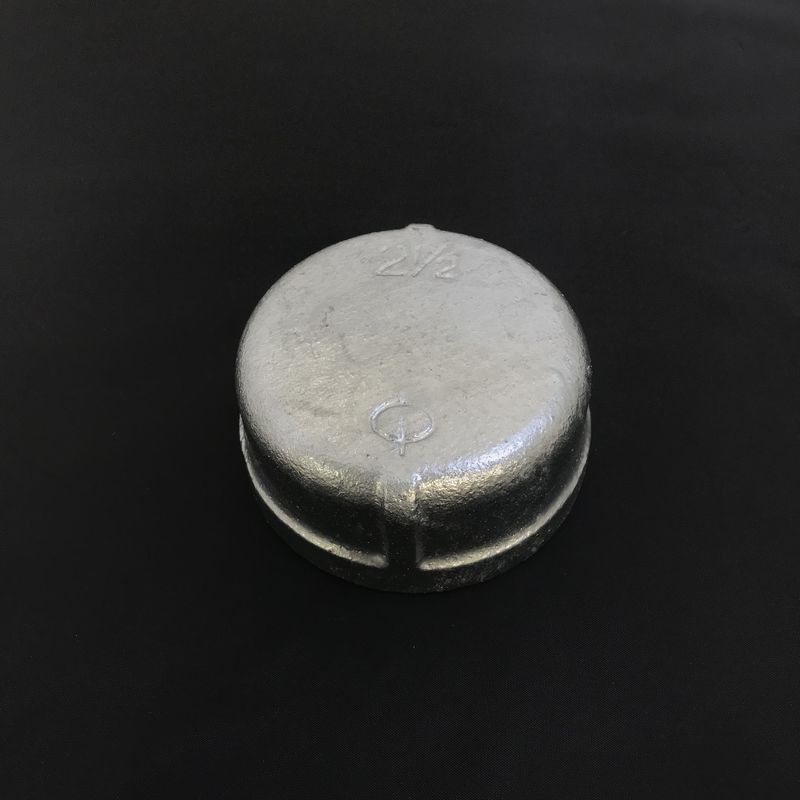 ���P�� ZD �� �L���b�v (�o���h�t)