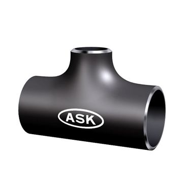 SGPRT �a�ႢT �n�ڎ��ǌp�� ��