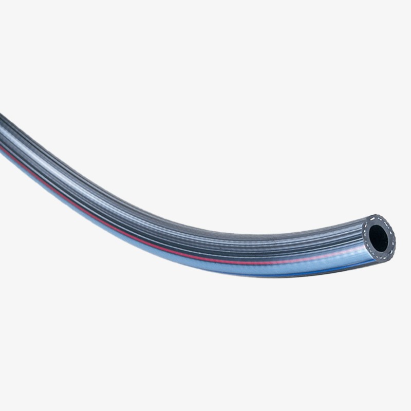 A �A���[�z�[�X