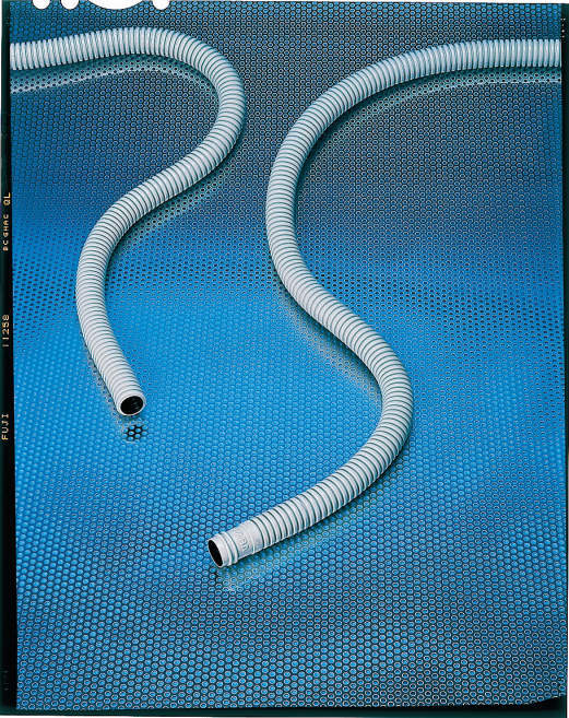 DHQ �n�C�N�H���e�B�h�����z�[�X