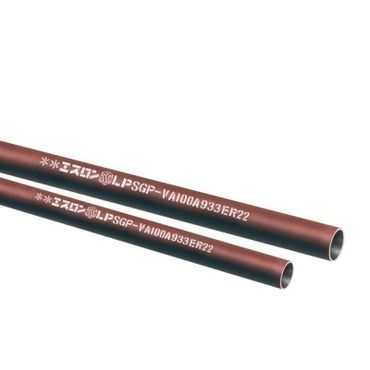 DLP �G�X����DVLP����(���z�r���p�d�������r�j�����C�j���O�|�� DVLP)