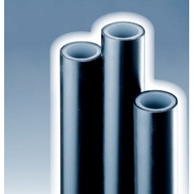 ���{�v���X�`�b�N �����p�|���G�`������w�� (�|���j�N�X��w��)