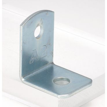 A10595 �u���pL����