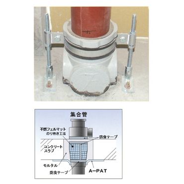 A16675 �s�R�t�F���}�b�g