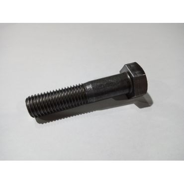 �� �{���g