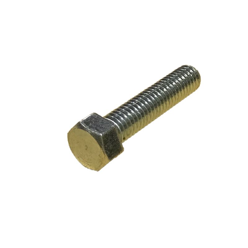 �������{���g