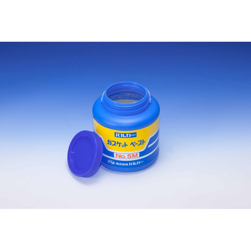 PS5M �K�X�P�b�g�y�[�X�g