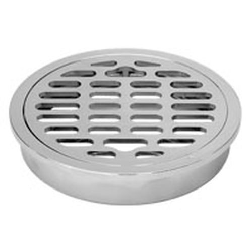 MS�^ �r�����