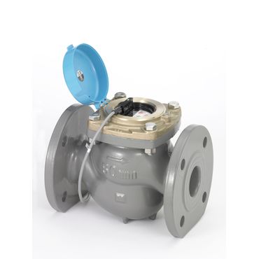 �A�Y�r������ GFDT �p���X���M��(2��)�^�e�^�E�H���g�}���^�������[�^�[�y�㐅F�t�z