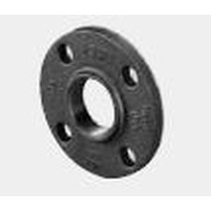 �A�Y�r������ �����p�t���i �t�����W�p�yJIS10KF�ڑ�(B.N�P.K 1��)�z