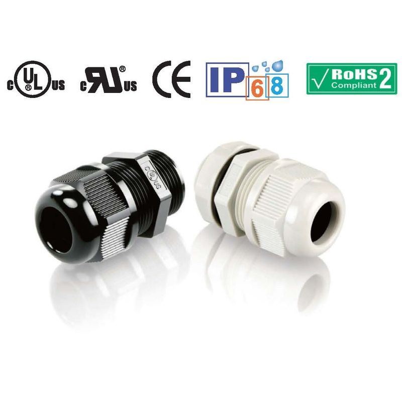 210-2010 G�l�W�P�[�u���O�����h(B�^) ���F �Z���^