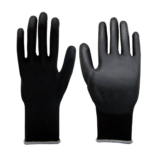 5327 �E���^�����K�w������� 10�o�g