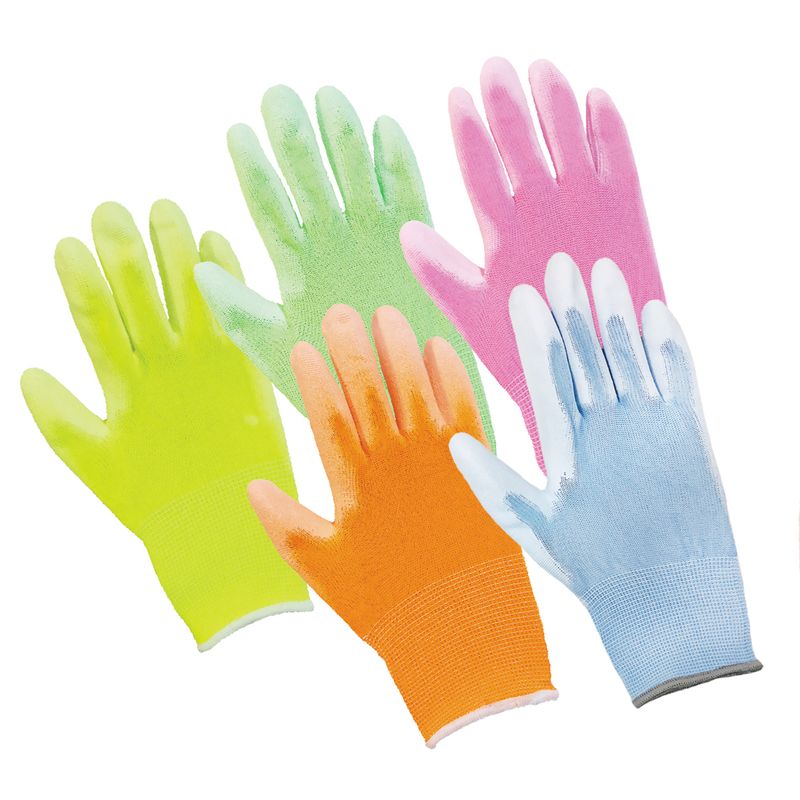 5380 �E���^�����K�w������� 5�J���[�A�\�[�g 10�o�g