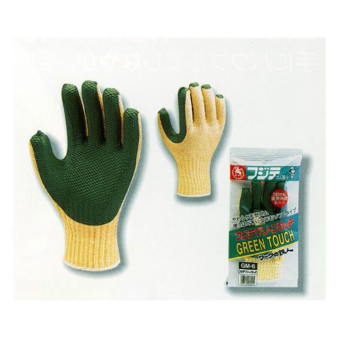 GM-6 �t�W�e�S�������� 3�o�g