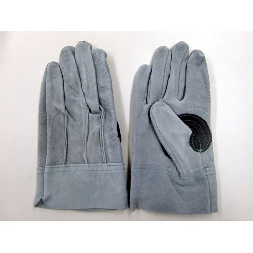 305 �����v�I�C���w�D�����