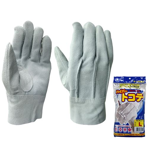 3813 �n�C�p�[�g�R�e �����v�w�D�����