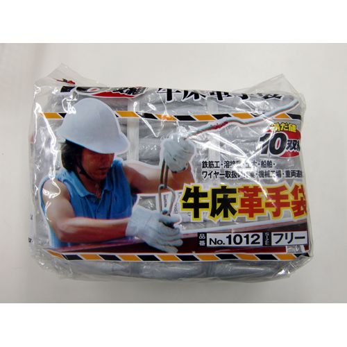 1012 �����v �w�D����� 10�o�g