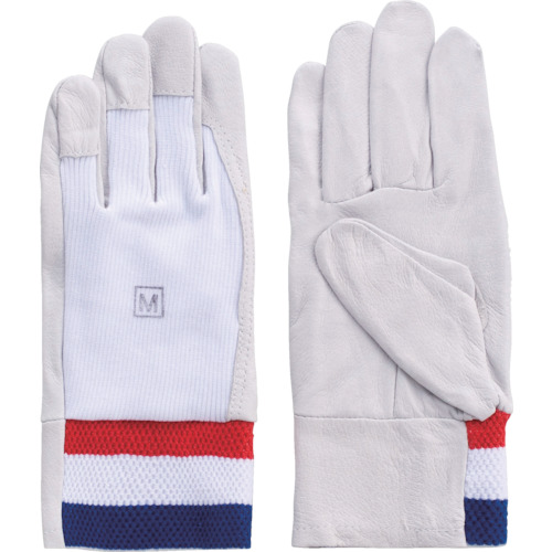 F-807 �ؖ{�v���