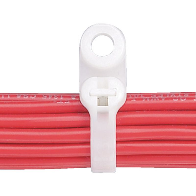 BC Dome-Top �����o���h �N�����v�^�C�v �i�C����6.6 (�i�`������)