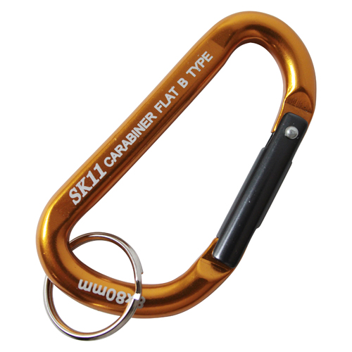 SAC-880B �A���~�J���r�i B