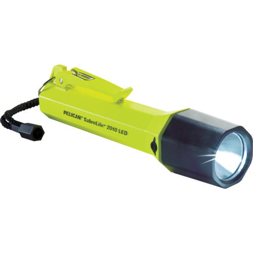 2010YE 2010 �� LED���C�g