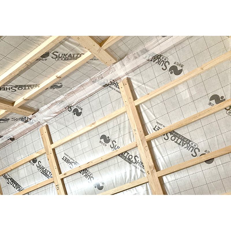 TSP �����������ƃV�[�g�v���~�A�� �����C���V�[�g