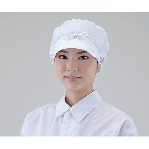 1-2278-�� �A�Y�s���A�L���b�v