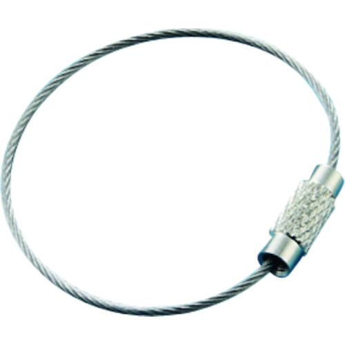 137270 ���C�������O(�L�[���C��) ����27 1.0��x120mm 10�{�g �X�e�����X��