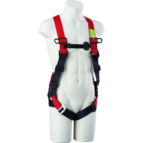 EHNN �C�[�W�[�n�[�l�X �l�I �^�C�^��