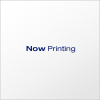 JPI 300# SFVC2A BL-RF �~�t�����W